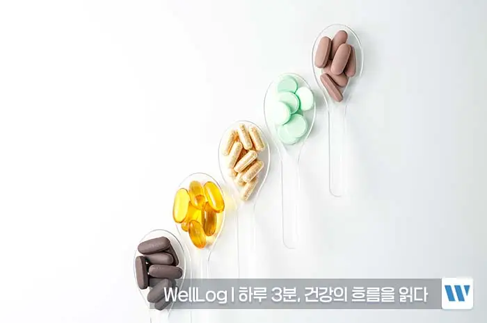 콘드로이친 복용법, 복용시간, 복용기간, 주의사항