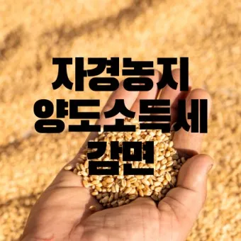 농지 양도소득세율 세율표_22
