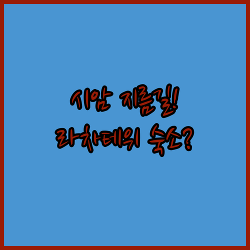 시암 센터에서 마담투소까지 길 찾기 ..