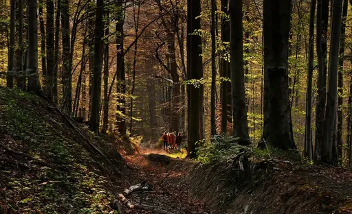 소상공인 재기 지원 &lsquo;희망리턴패키지&rsquo; 핵심 내용 정리