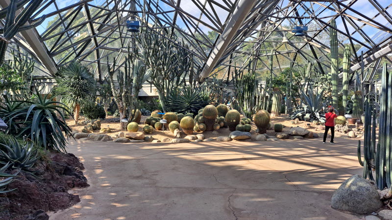 제주여행_여미지식물원