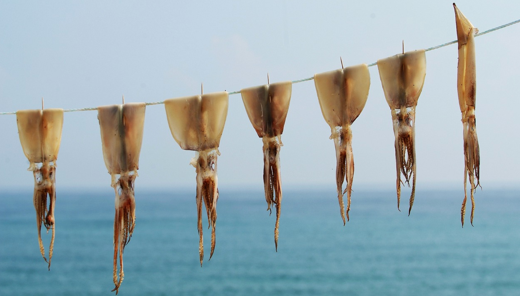 강릉 바다 드라이브를 위한 시원한 시티팝 & 재즈 플레이리스트