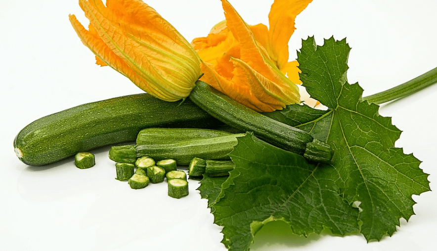 애호박 사진 - 2