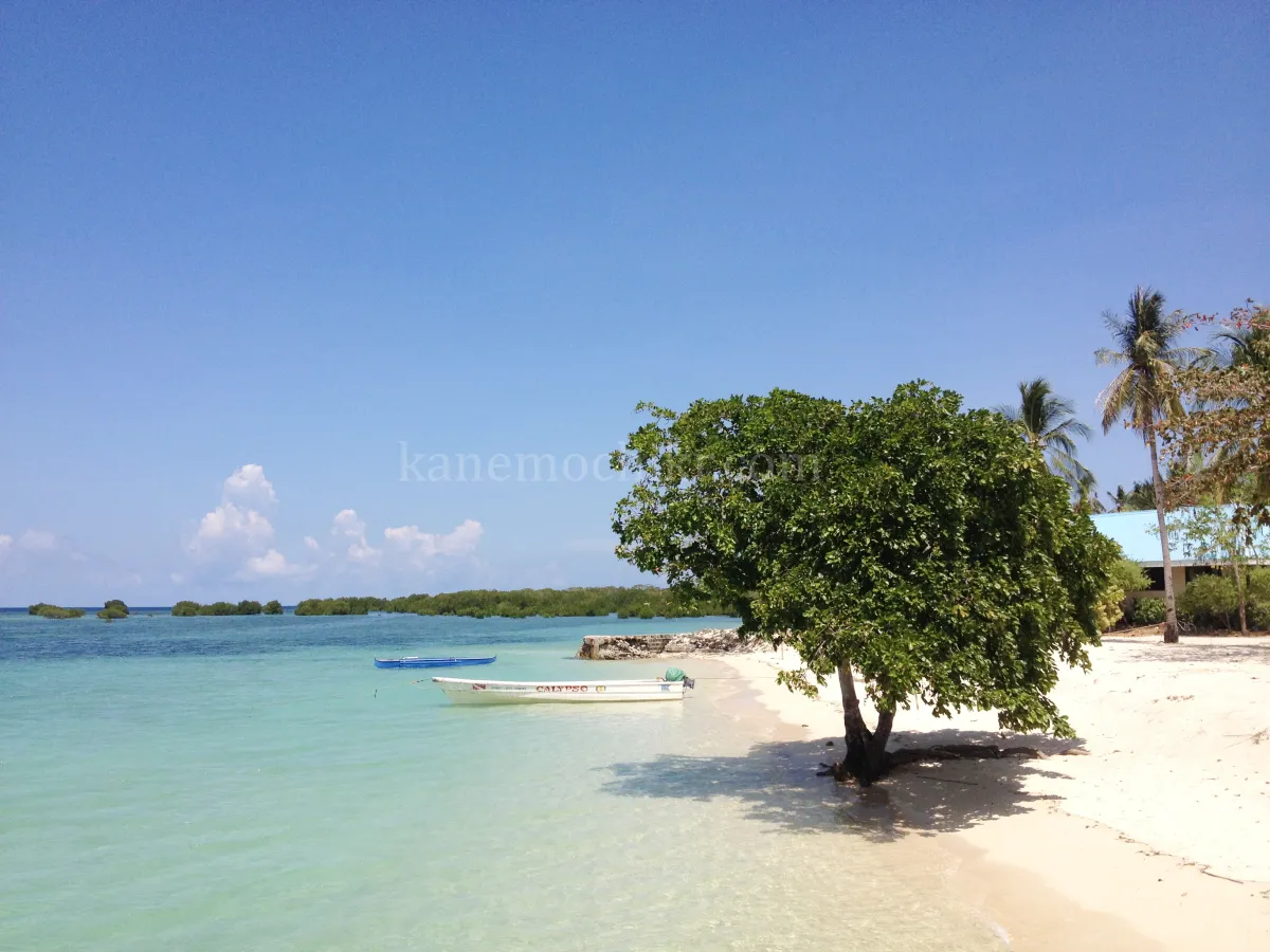 필리핀-팔라완-도스팔마스리조트-바다