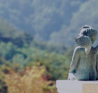 정선 로미지안가든 입장료 예약방법