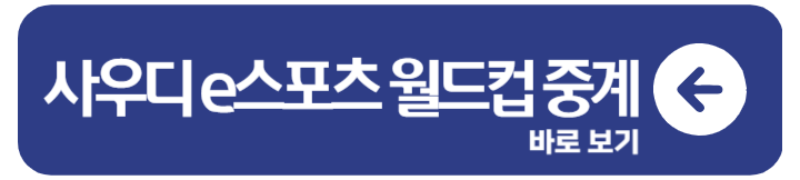 사우디 e스포츠 월드컵 일정 중계 대진표 1