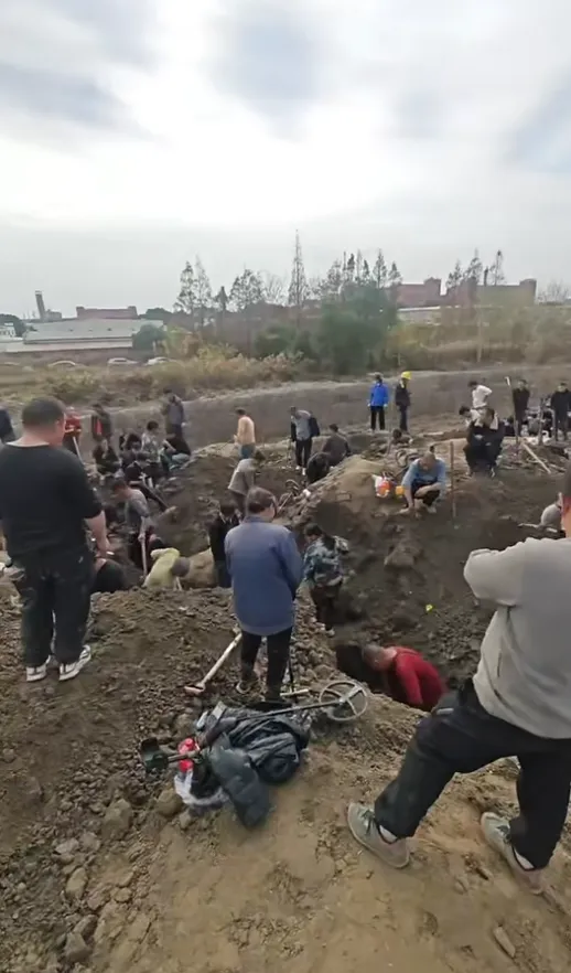 상하이 차둔진 ‘은화 소동’…수십 명 몰려 밤새 땅 파고, 경찰·문화재 부서 긴급 출동