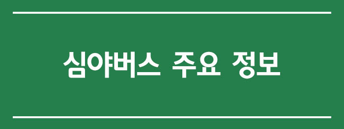 심야버스 주요 정보