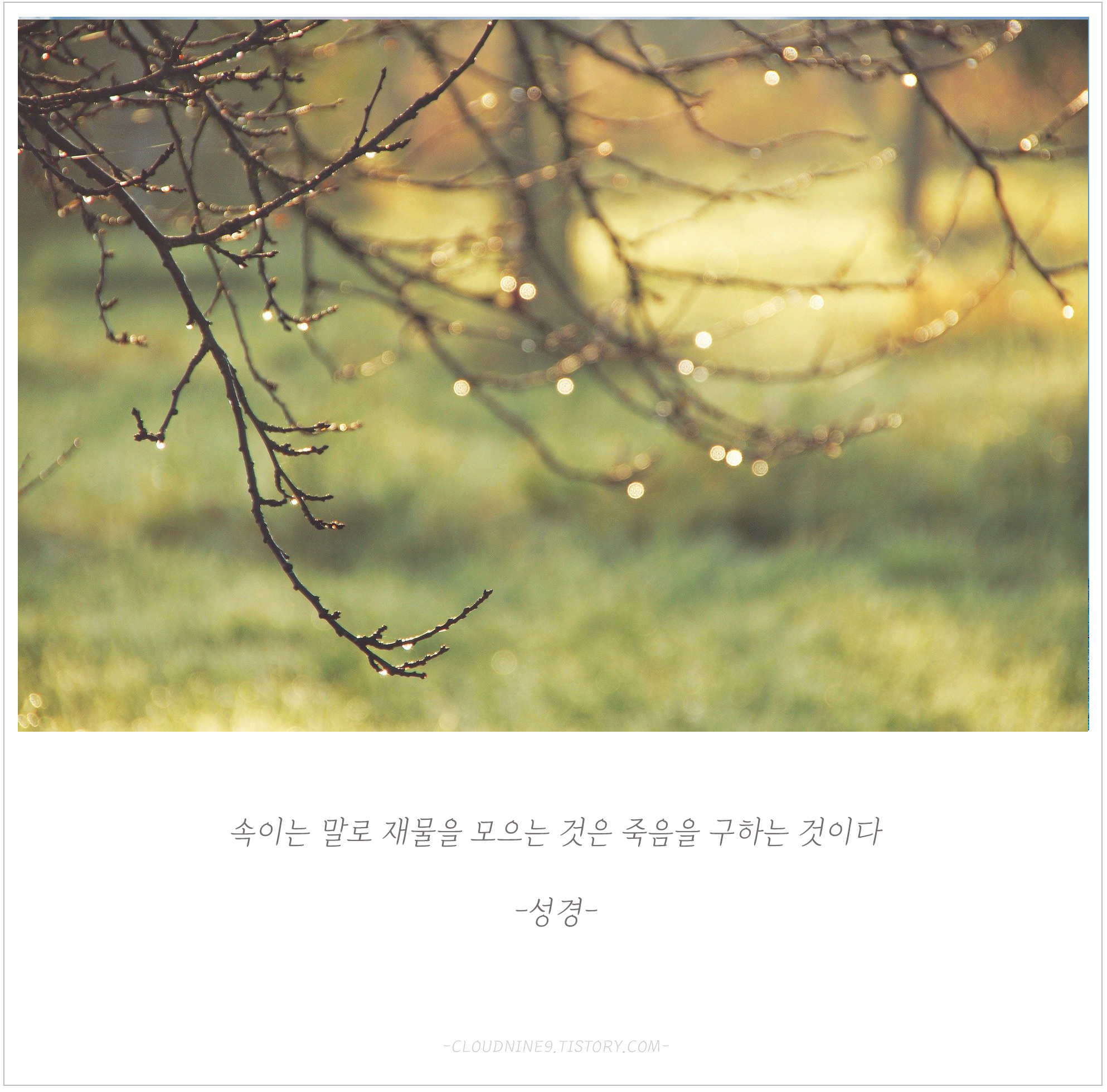 들을수록 힘이 나는 짦은 명언 모음7