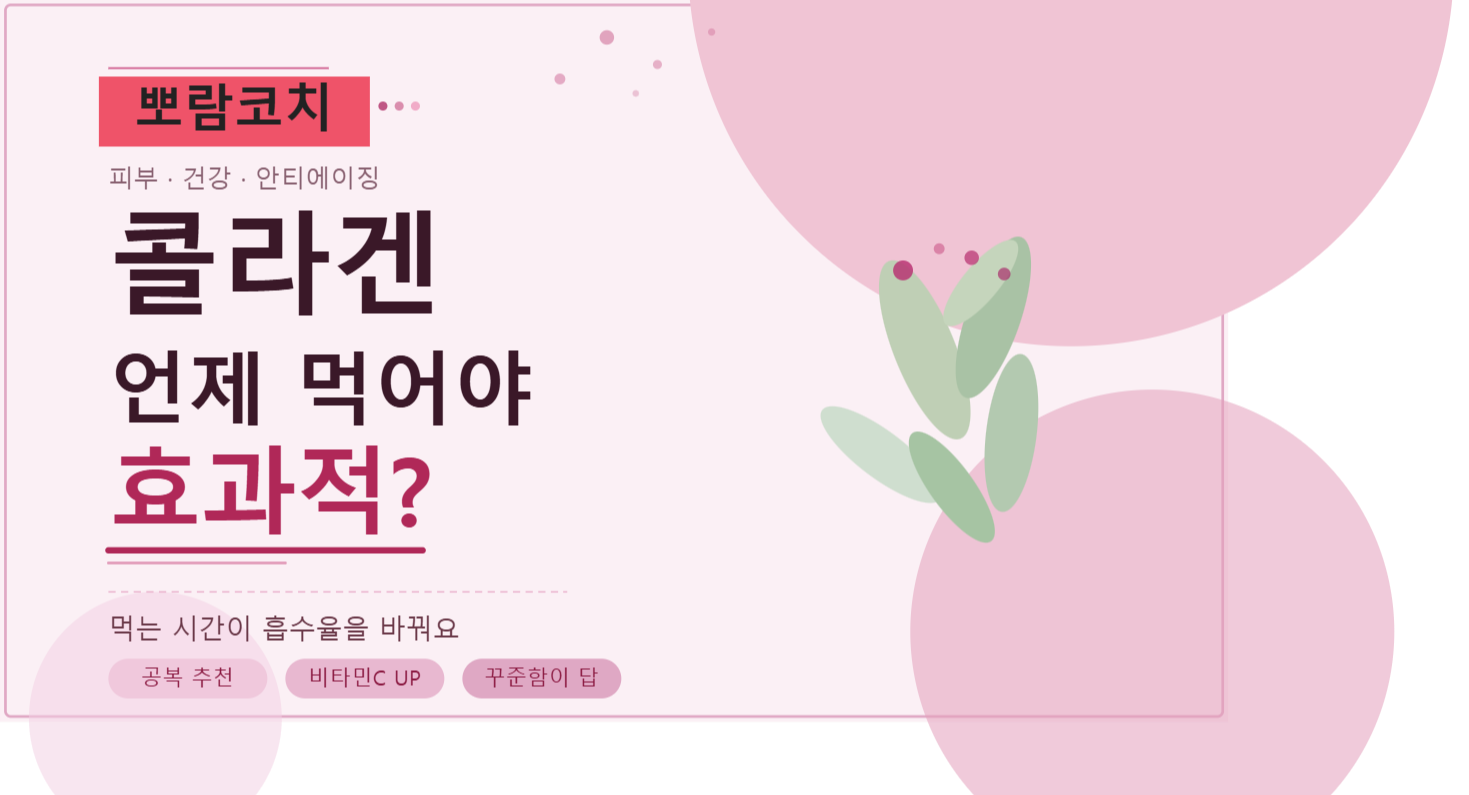 콜라겐 언제 먹어야 효과적일까요? - 먹는 시간이 흡수율을 바꿔요