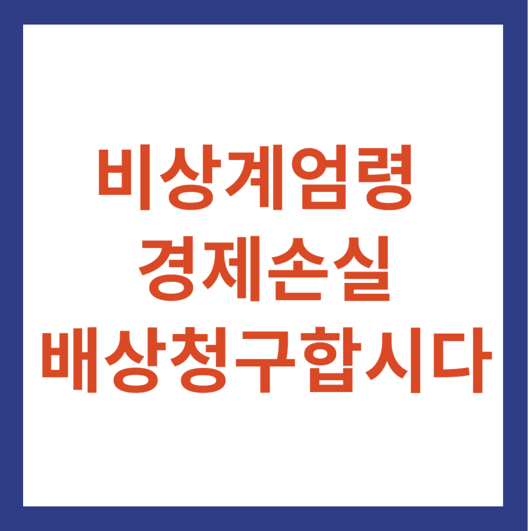 비상계엄령 경제손실 배상 청구
