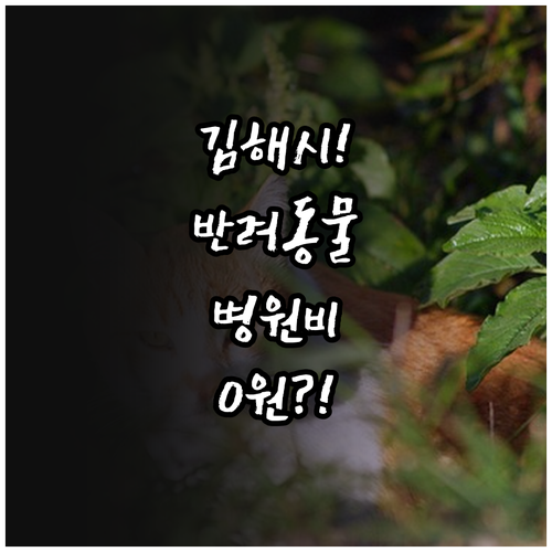 김해시 기초생활수급자 차상위계층 반려..