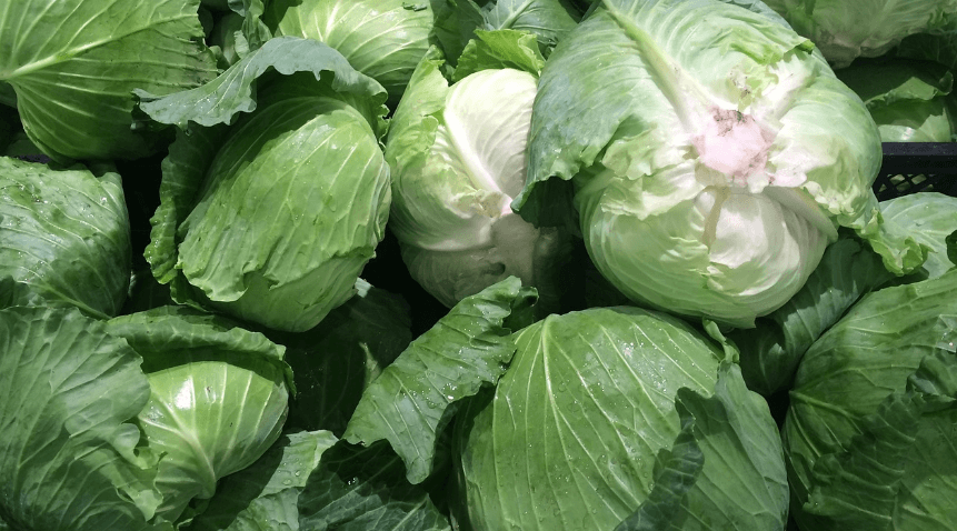 속쓰림에 좋은 음식 사진 - 6