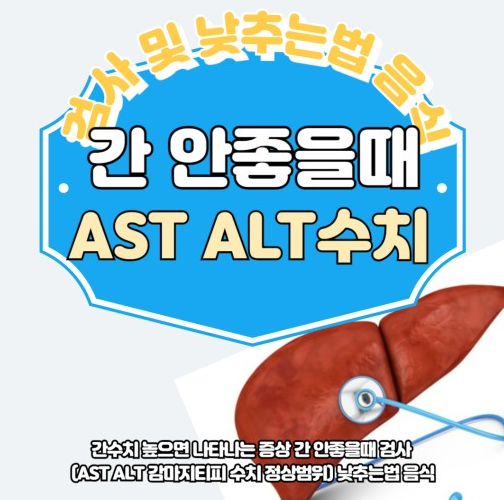 AST ALT 수치 감마지티피수치 BUN 수치 피해야 할 음식