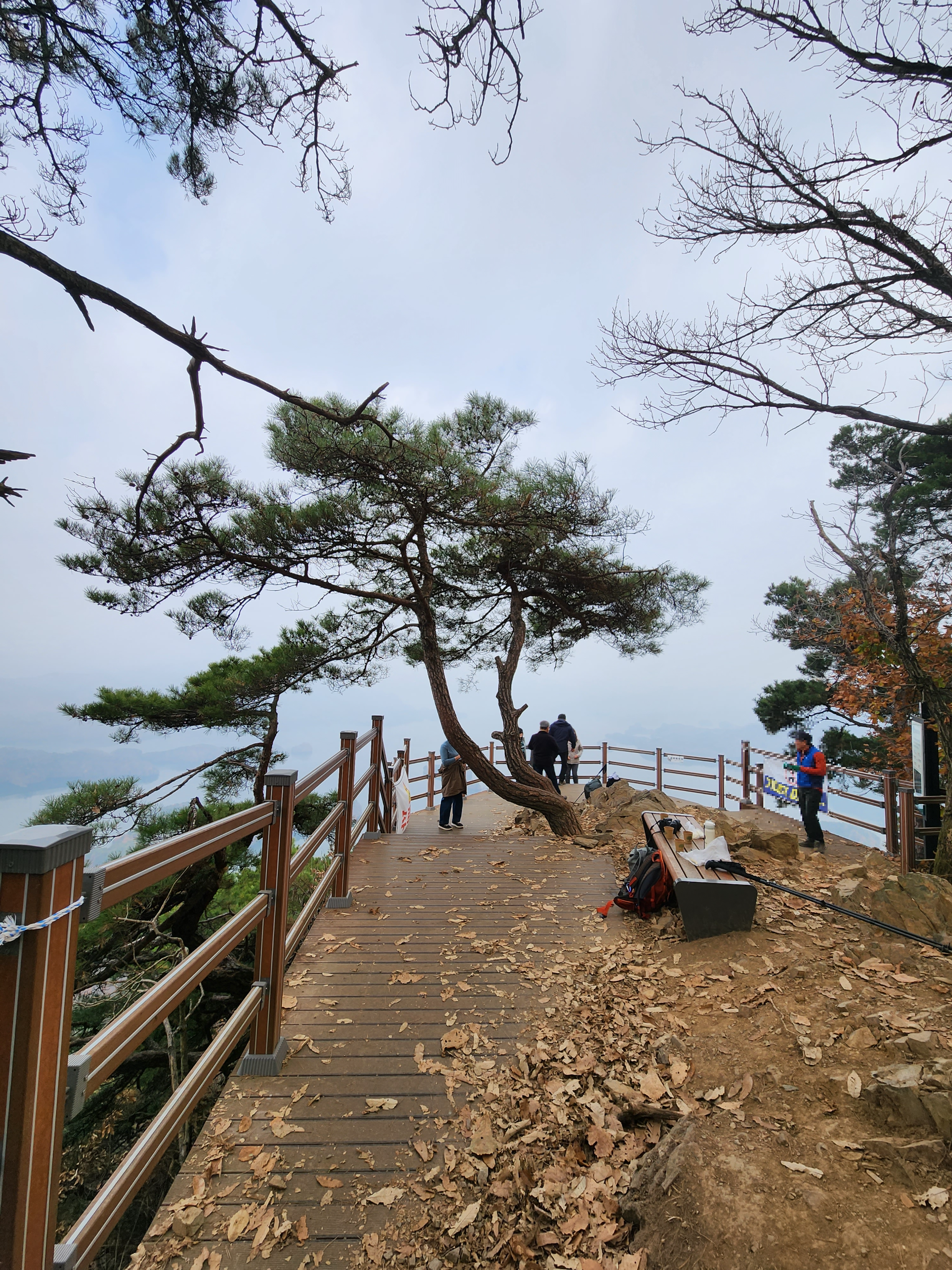 충주 악어봉