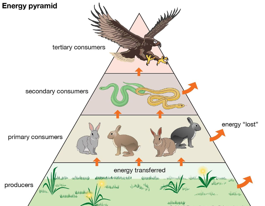고수와의 만남이 가져온 소중한 깨달음 07 - 레이저처럼 집중하라