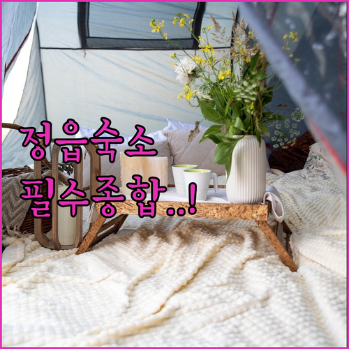 전북 정읍 가성비 호텔부터 내장산 근..