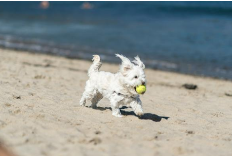 ๋ชฐํฐ์ฆ4