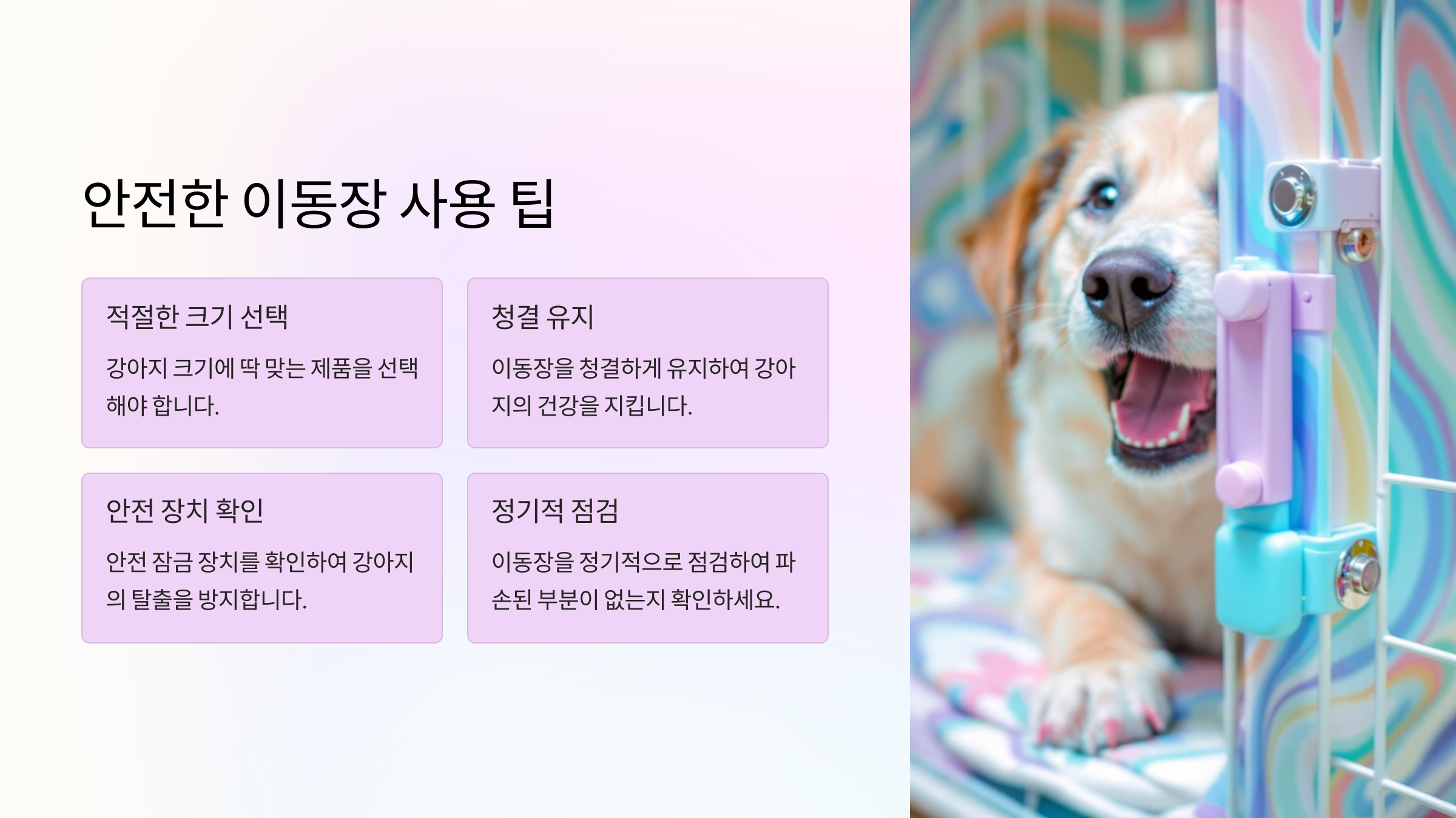 안전한 이동장 사용 팁