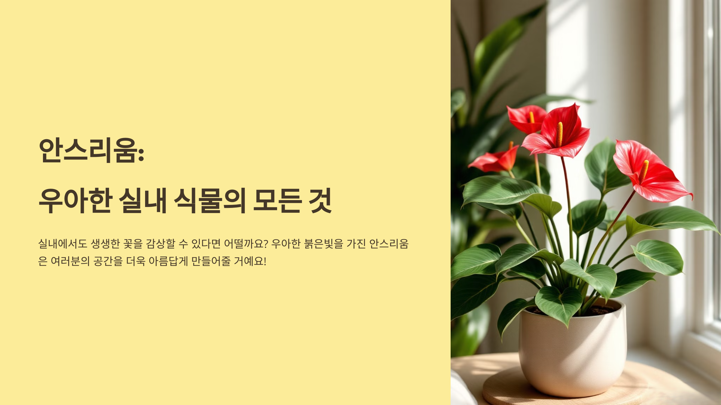 아스리움 꽃 사진