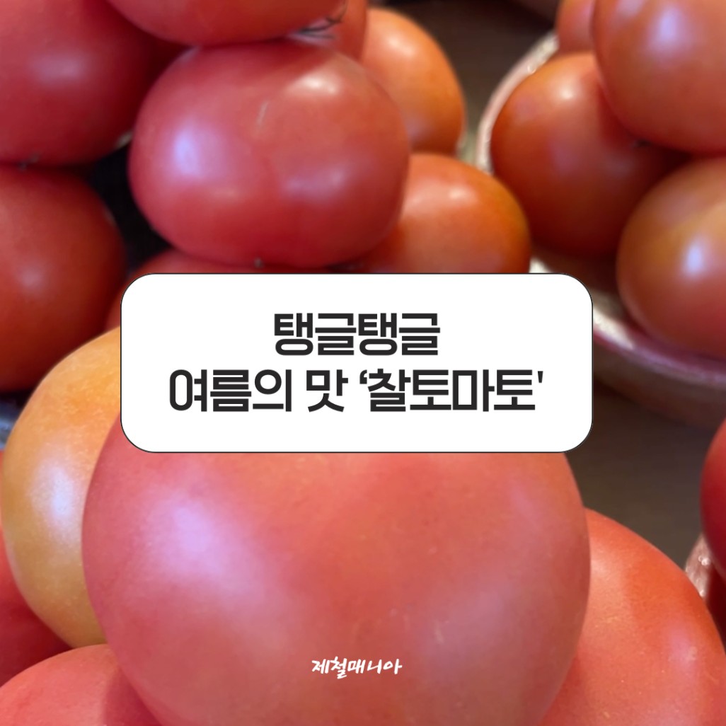 찰토마토