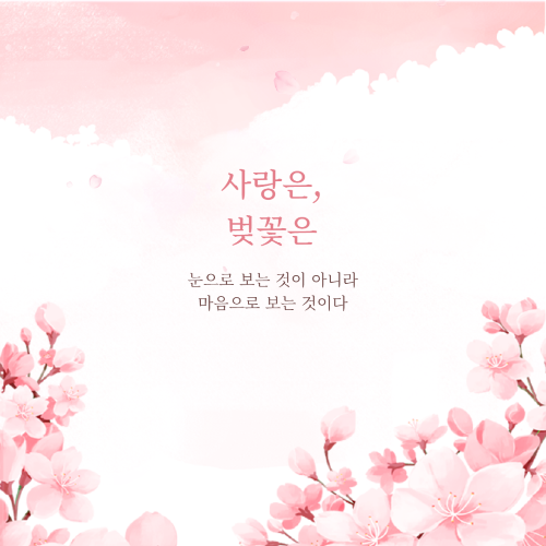 일본 벚꽃 개화 시기