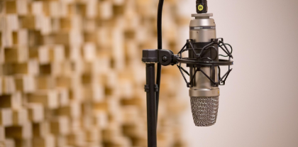 목소리로 세상을 창조하는 마법사, 성우 이야기