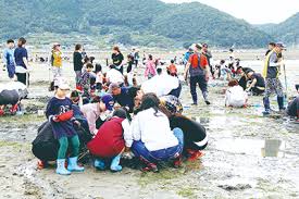 남해 가볼만한곳 베스트: 둔촌갯벌체험장