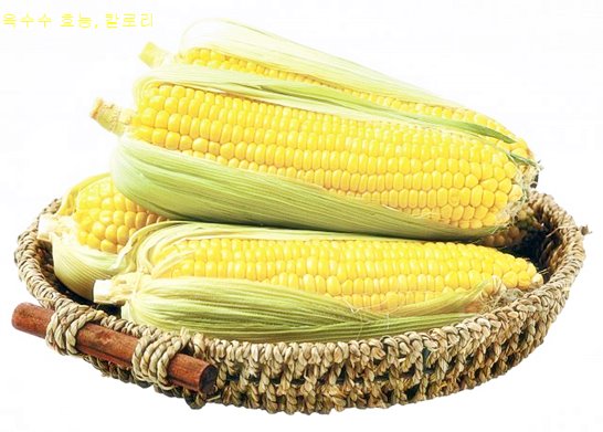 옥수수 효능