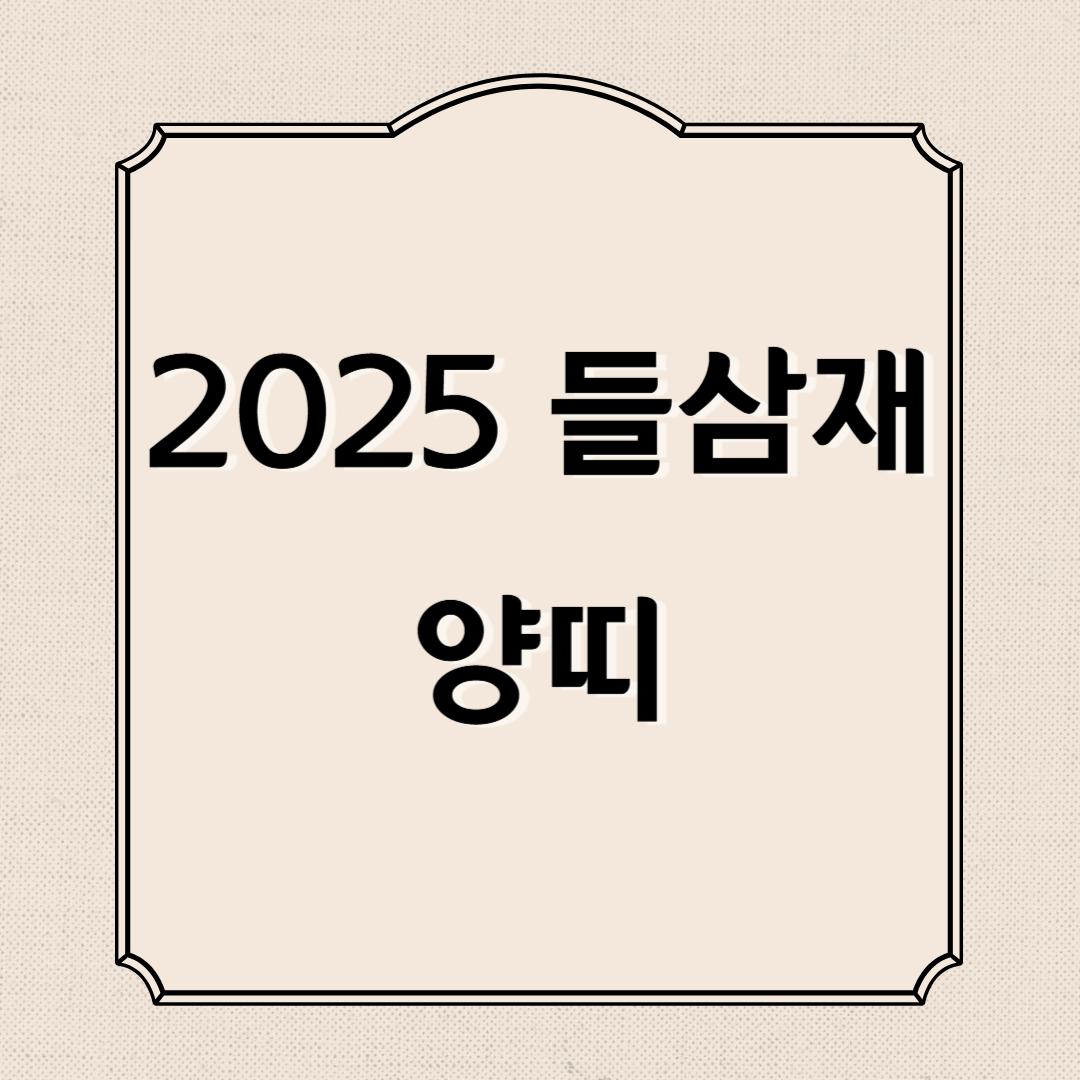 2025년 삼재띠