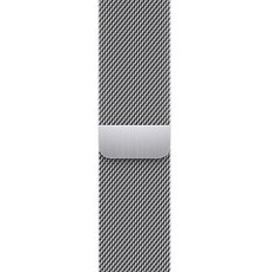 Apple 정품 애플워치 밀레니즈 루프&#44; 실버