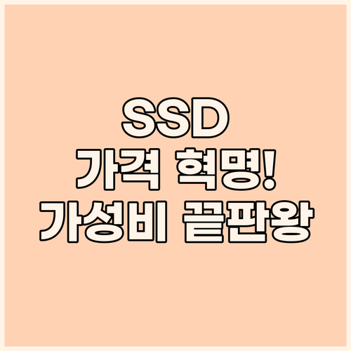 SSD 가격 혁명! FANXIANG,..