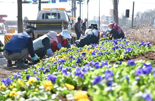 서울 근교 봄축제