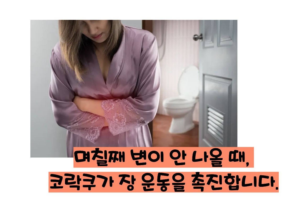 일본 변비약 코락쿠