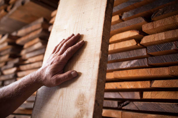 목재의 결을 확인하는 모습을 포착한 사진