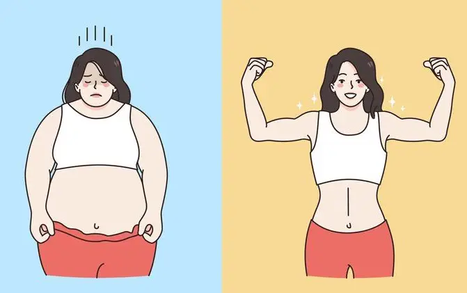 석류로겐-체지방감소-신진대사