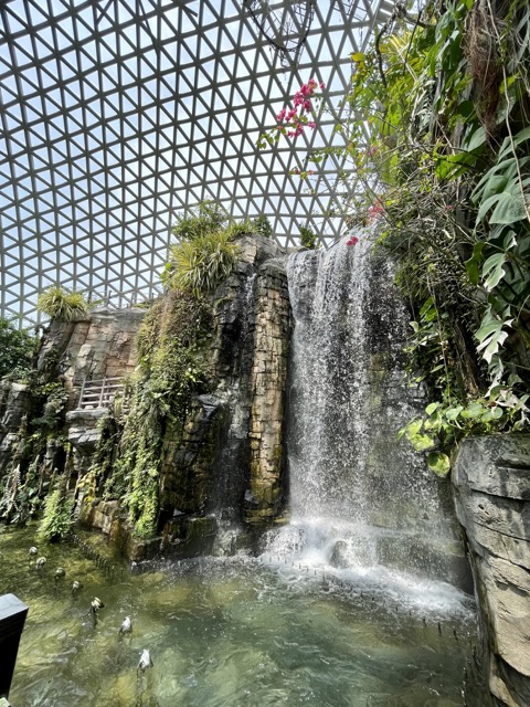거제식물원에는-폭포도-있으며-위에-올라가면-동굴안에서-떨어지는-폭포수도-만끽할수-있습니다.