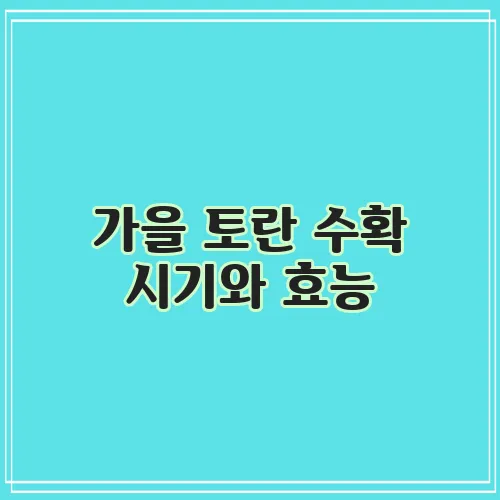 가을 토란 수확 시기와 효능, 활용법, 부작용 및 칼로리 정보