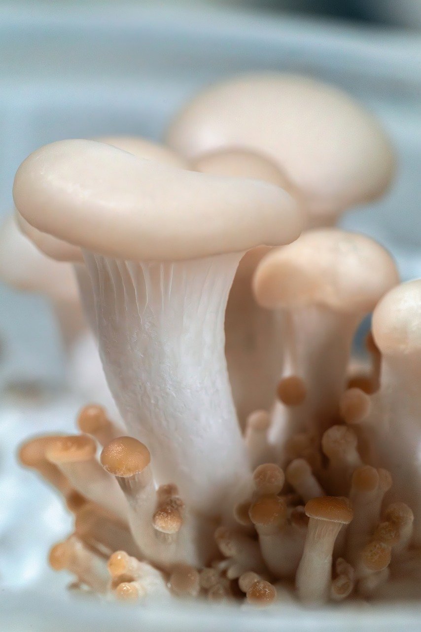 농업인 수당 받고도 모르는 사람 많다? 지급일·절차 총정리