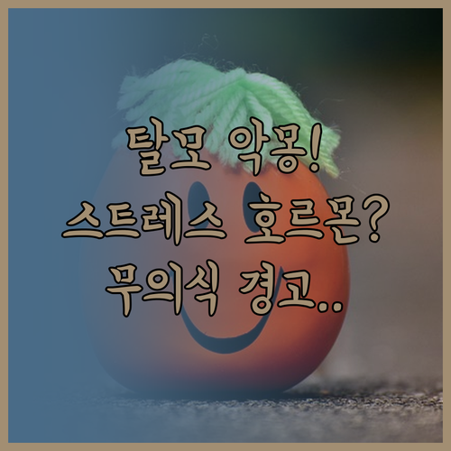 머리카락 빠지는 악몽 스트레스 호르몬..