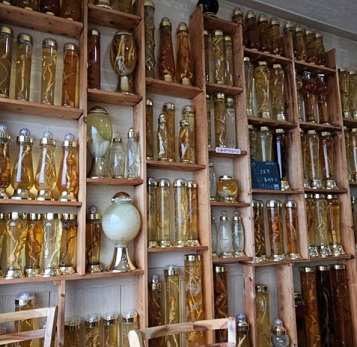 포항-호미곶-횟집-해안길횟집