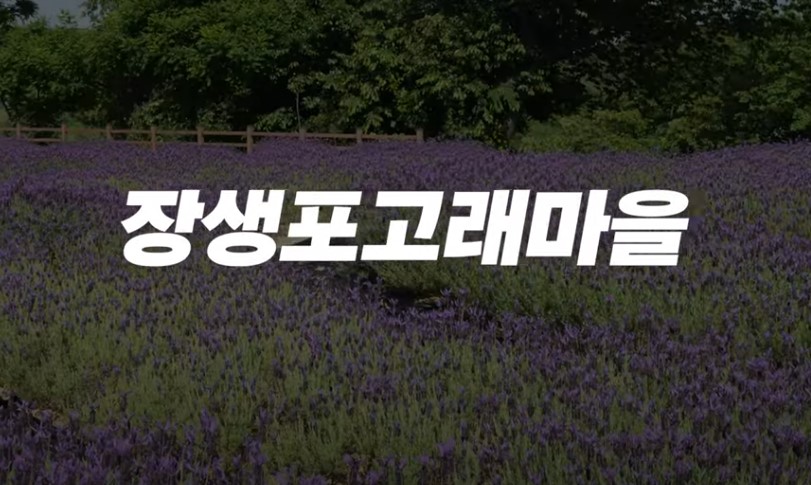 5월에 꼭 가봐야 할 적국 봄꽃 명소