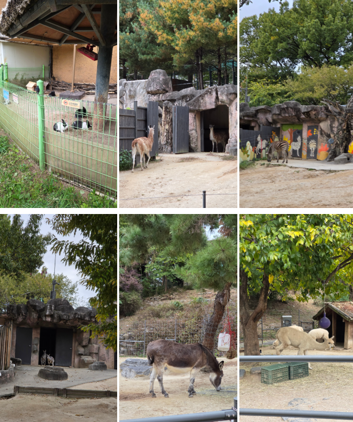 서울어린이대공원 동물원 가을 나들이 (무료입장/관람 코스)