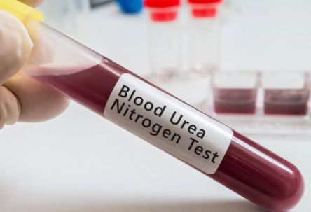 혈소판 수치가 낮으면