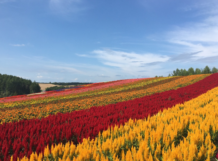 북해도 6월 날씨