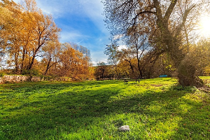 50대 부부를 위한 걷기 좋은 봄 산책 여행지 BEST5 남양주 생태공원