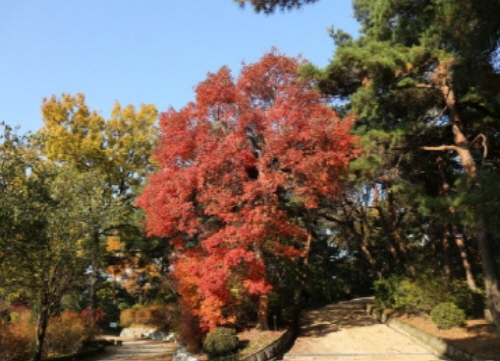 홍릉수목원