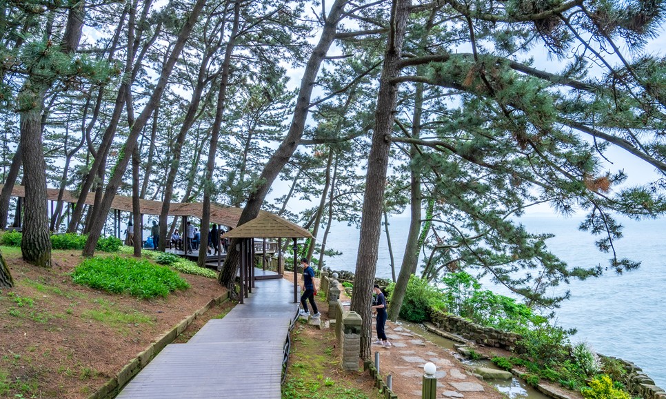 보령 가볼만한곳 (죽도 상화원)