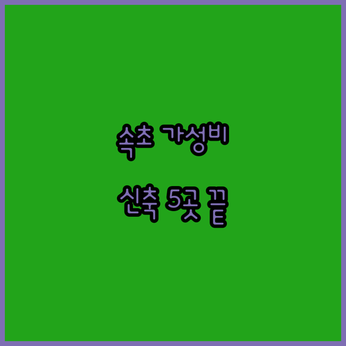 속초 숙소 추천 가성비 좋은 신축 호..