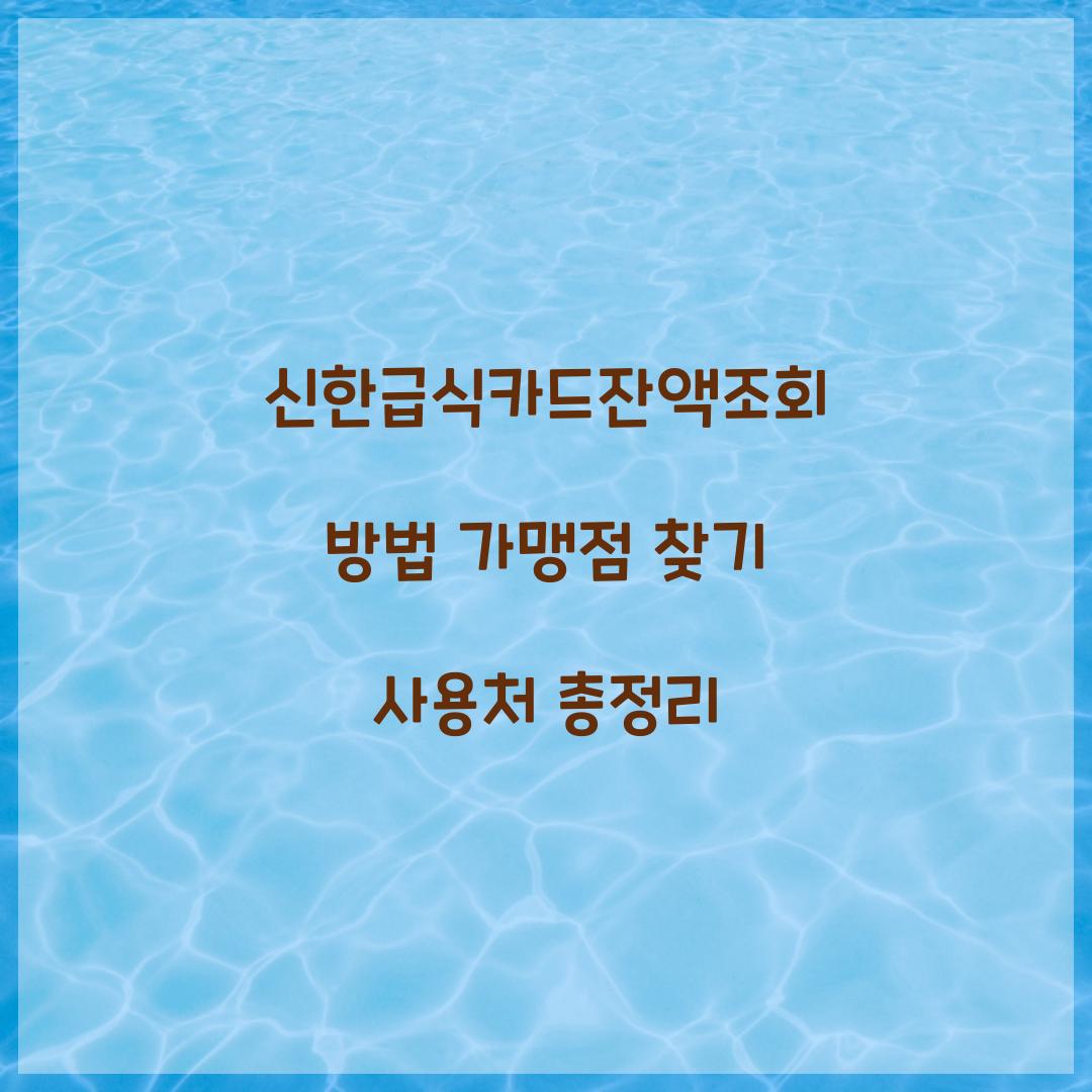 신한급식카드잔액조회
